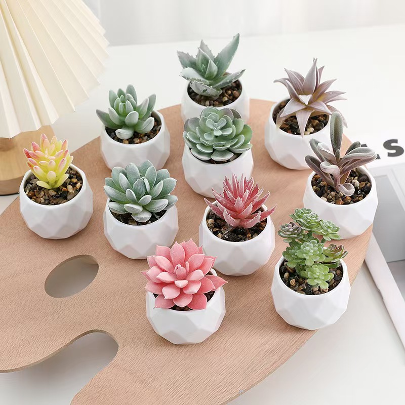 Cactus Mix Pot - Mini piante artificiali Simulazione Cactus succulente
