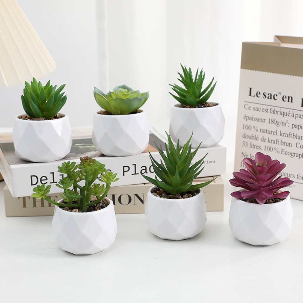 Cactus Mix Pot - Piante Artificiali Succulente Sempreverdi, Cactus Finti,