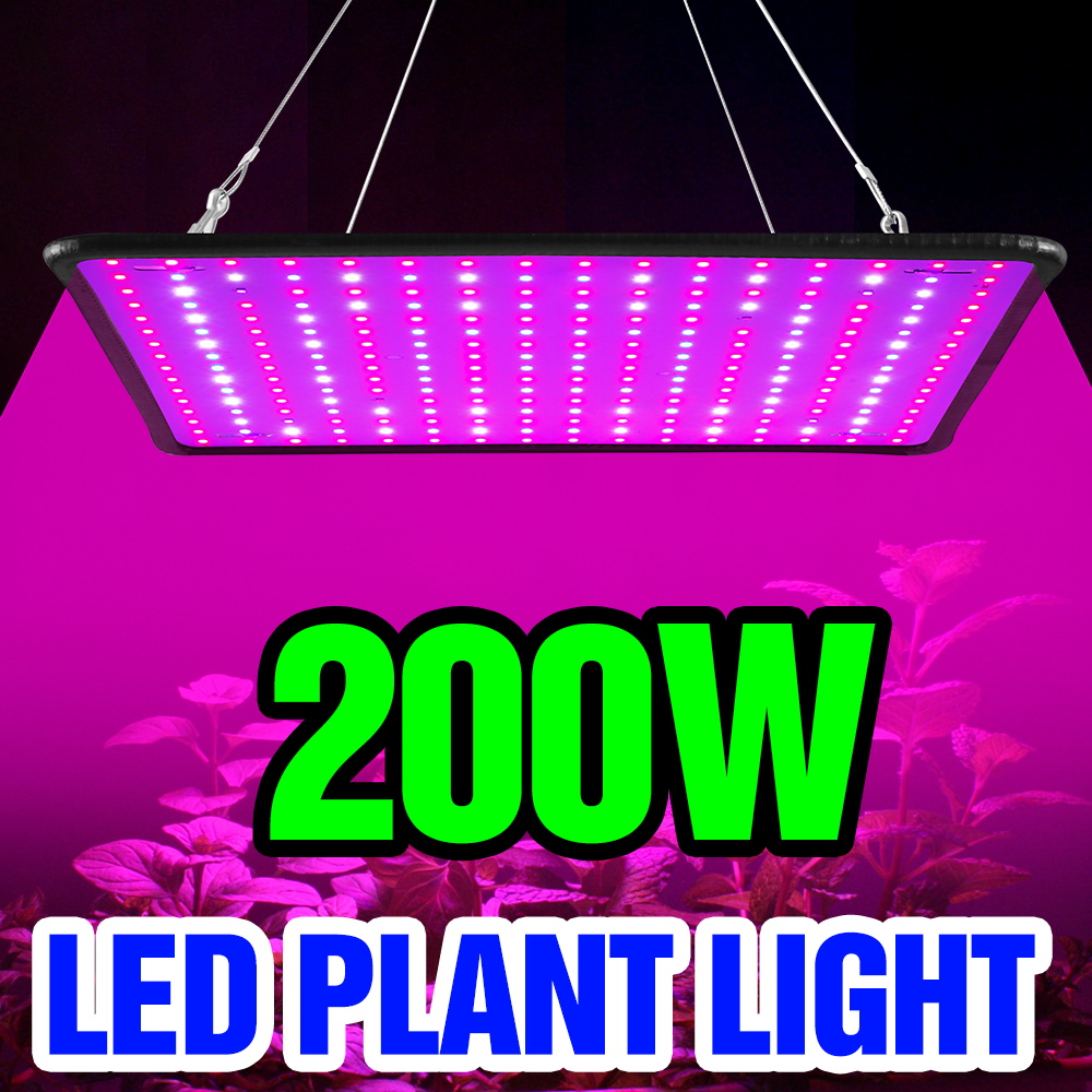 Cactus Mix Pot - Lampada LED Quantum Board da 200W