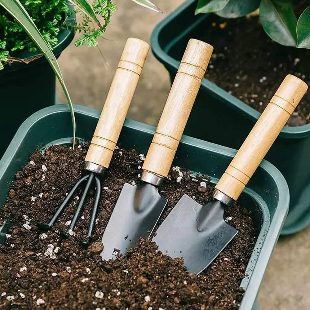 Cactus Mix Pot - 3 pz/set Mini Set di Attrezzi
