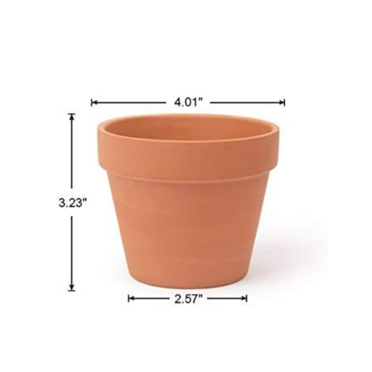 6 pezzi da 4 pollici vasi di t - Cactus Mix Pot recensione e prezzo