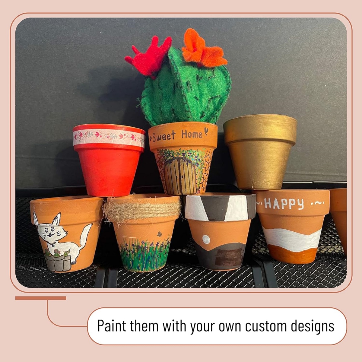 6 pezzi da 4 pollici vasi di t - Cactus Mix Pot recensione e prezzo