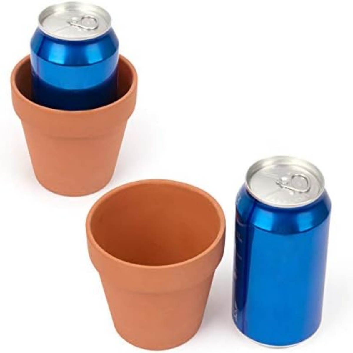 6 pezzi da 4 pollici vasi di t - Cactus Mix Pot recensione e prezzo