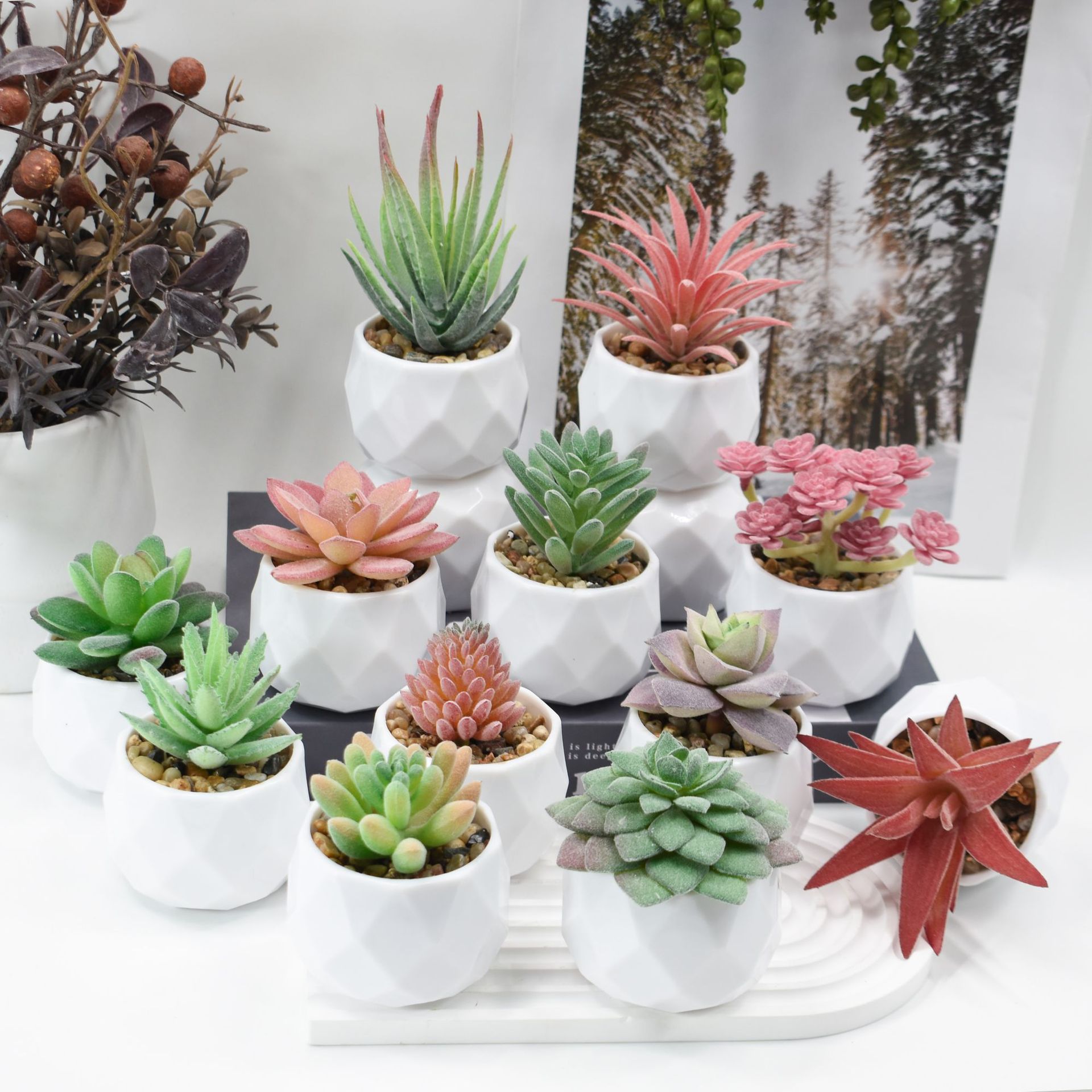 Mini piante artificiali Simula - Cactus Mix Pot recensione e prezzo