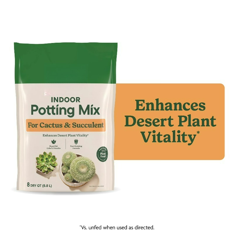 (Confezione da 2) Terriccio pe - Cactus Mix Pot recensione e prezzo