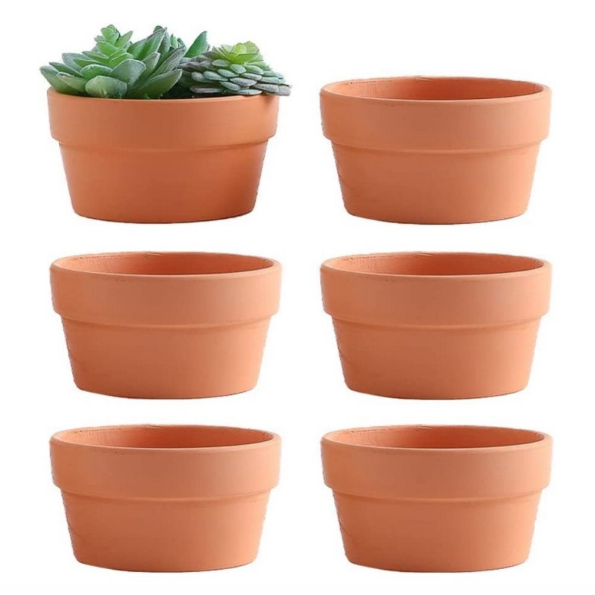 6 pezzi vasi in terracotta da  - Cactus Mix Pot recensione e prezzo