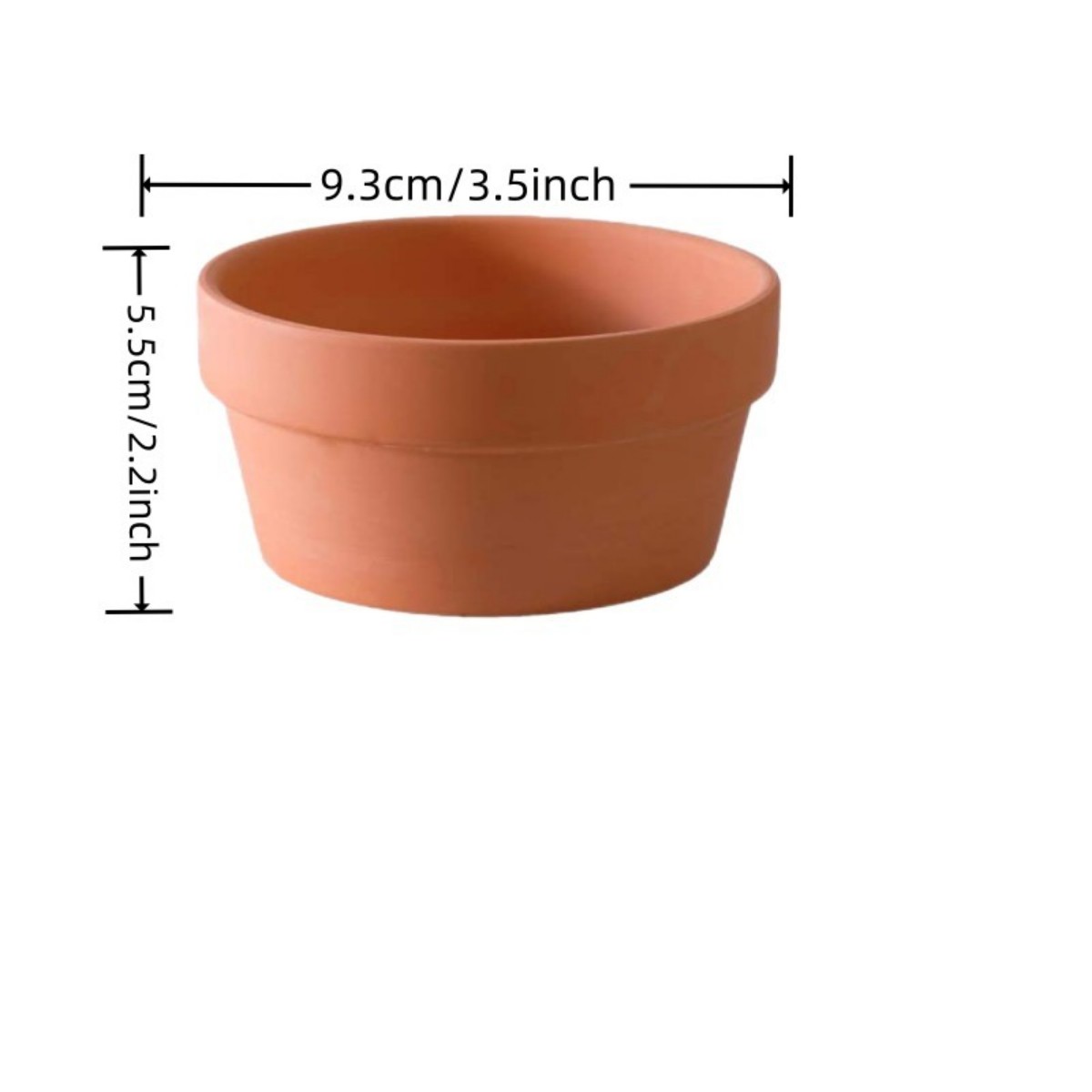 6 pezzi vasi in terracotta da  - Cactus Mix Pot recensione e prezzo