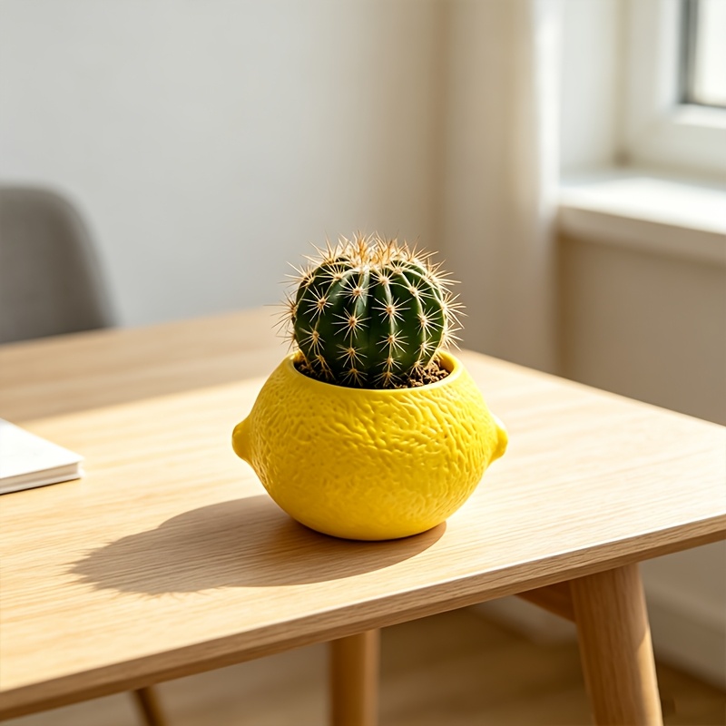 Vaso decorativo a forma di lim - Cactus Mix Pot recensione e prezzo