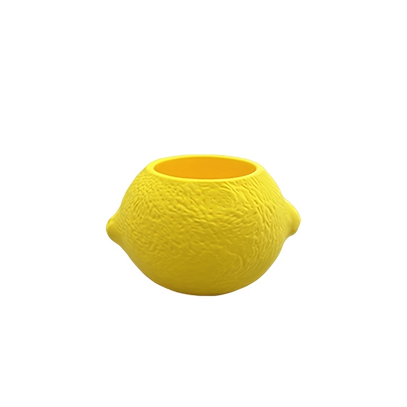 Vaso decorativo a forma di lim - Cactus Mix Pot recensione e prezzo