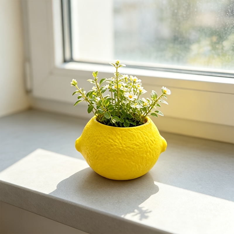 Vaso decorativo a forma di lim - Cactus Mix Pot recensione e prezzo