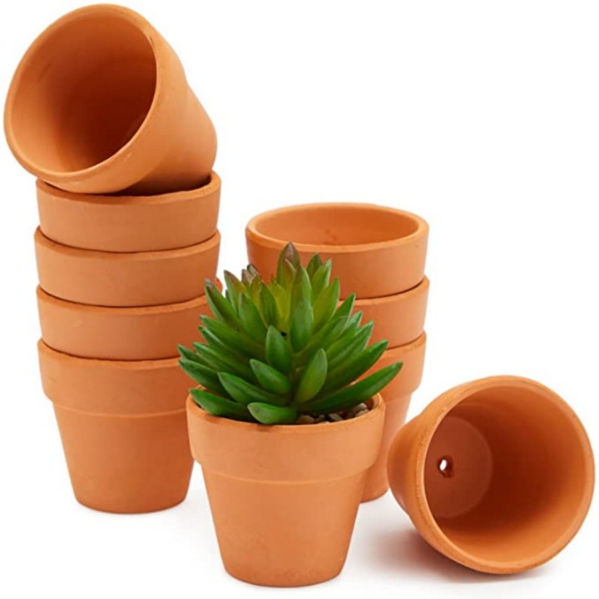 16 pezzi 1,8 '' vasi di terra  - Cactus Mix Pot recensione e prezzo
