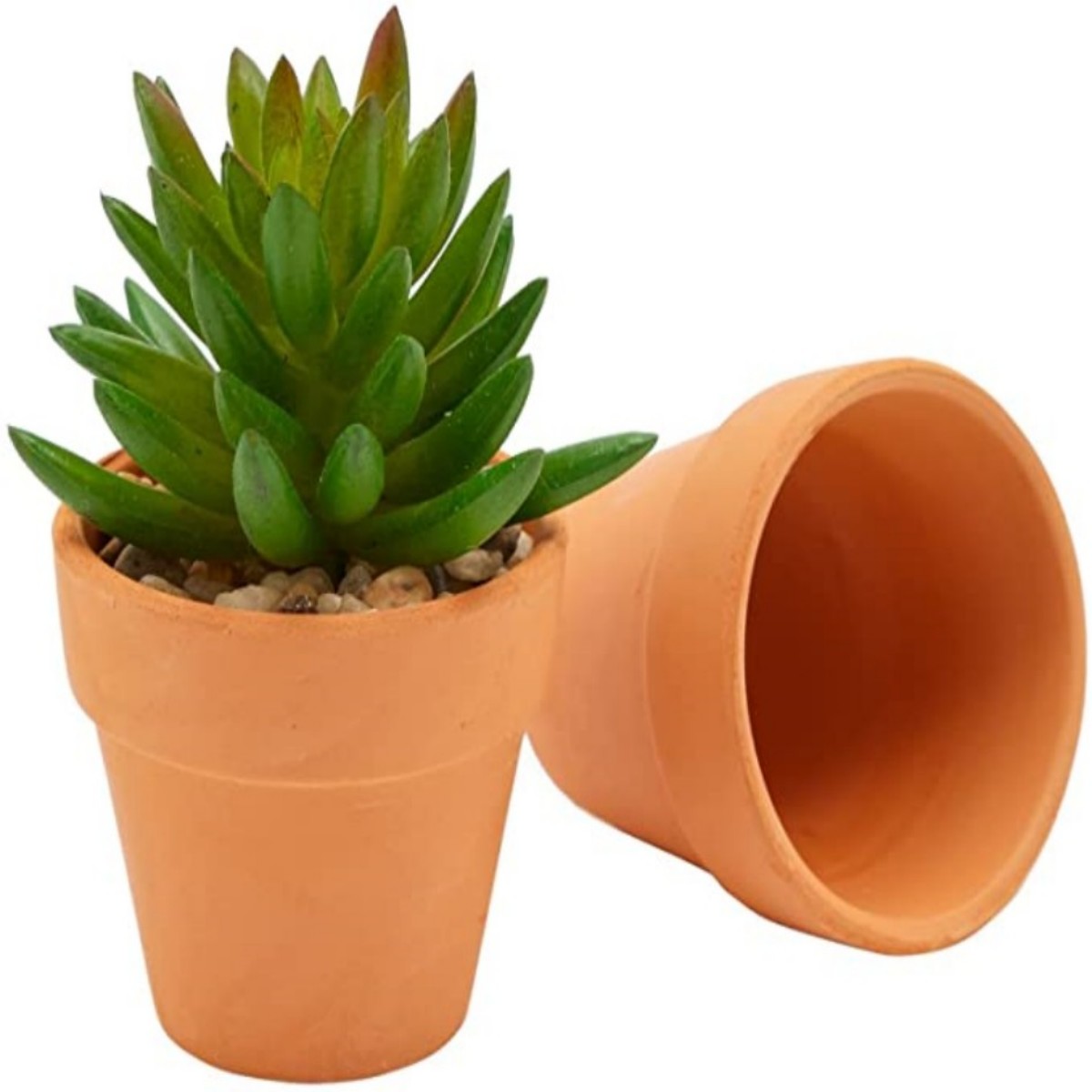 16 pezzi 1,8 '' vasi di terra  - Cactus Mix Pot recensione e prezzo