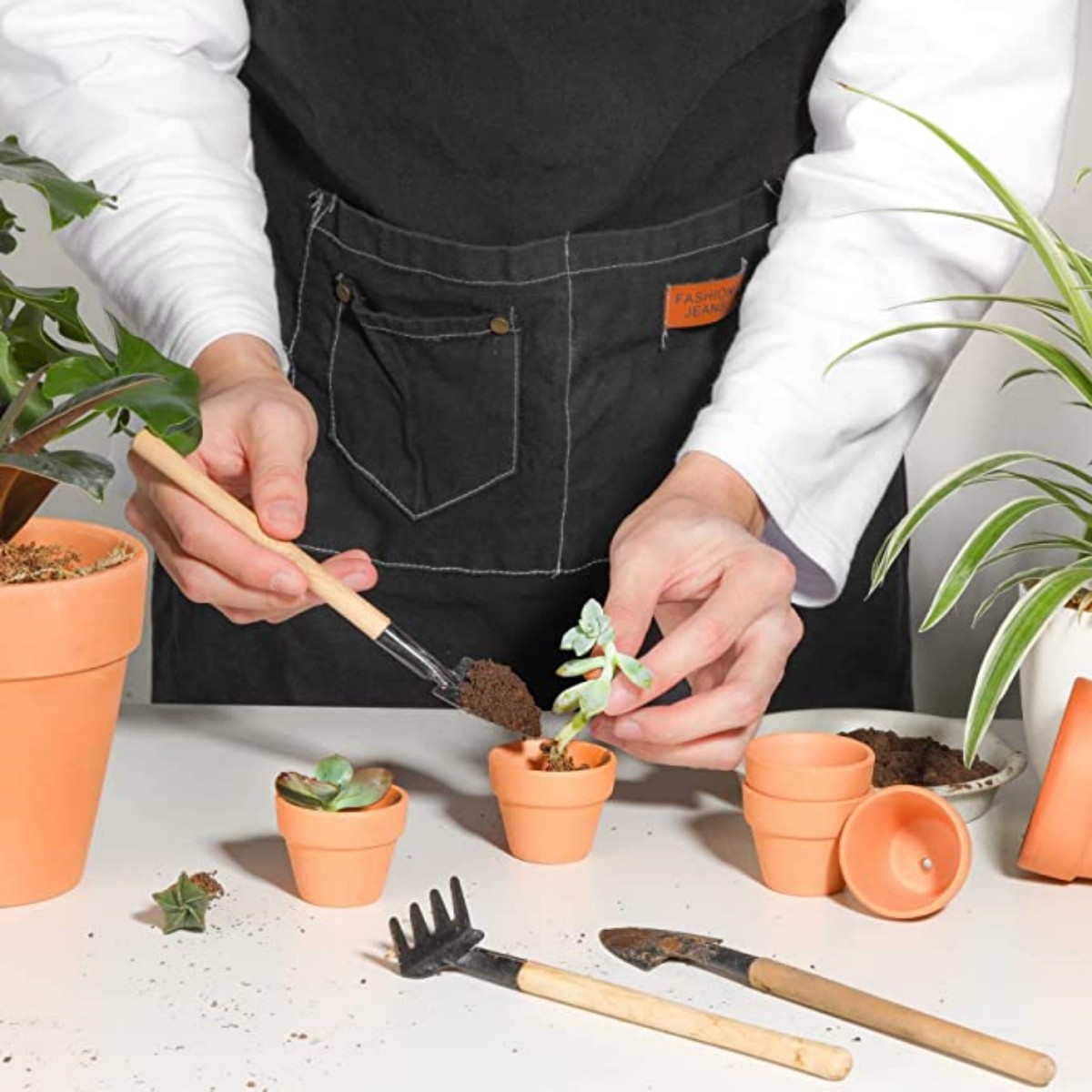 16 pezzi 1,8 '' vasi di terra  - Cactus Mix Pot recensione e prezzo