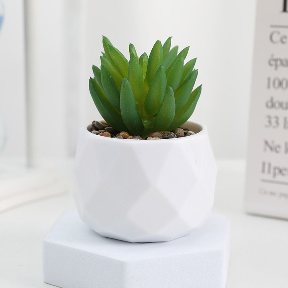 Piante Artificiali Succulente  - Cactus Mix Pot recensione e prezzo