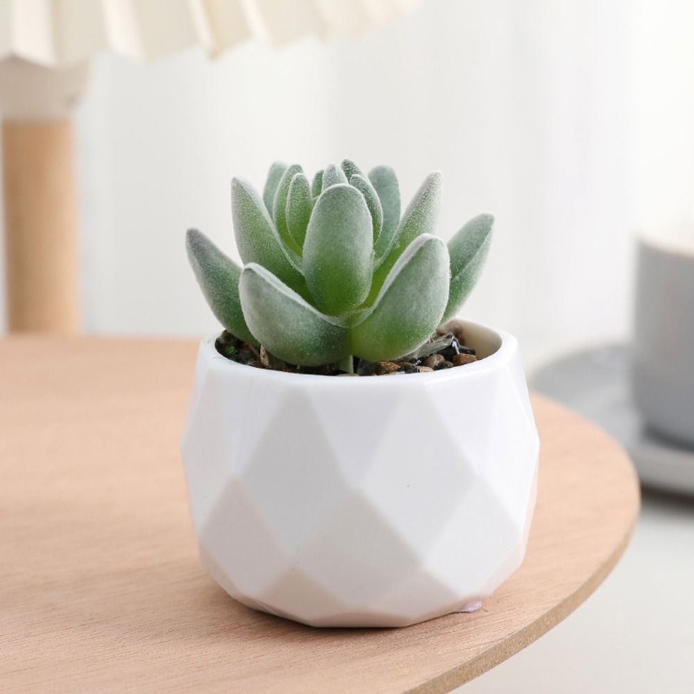Piante Artificiali Succulente  - Cactus Mix Pot recensione e prezzo