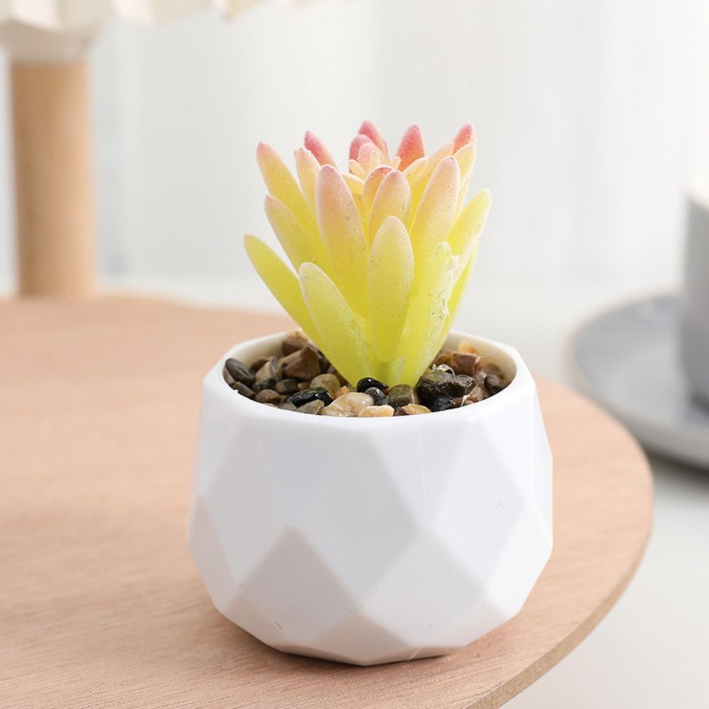Piante Artificiali Succulente  - Cactus Mix Pot recensione e prezzo