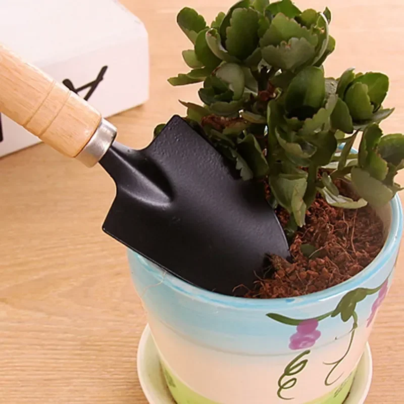 3 pz/set Mini Set di Attrezzi  - Cactus Mix Pot recensione e prezzo