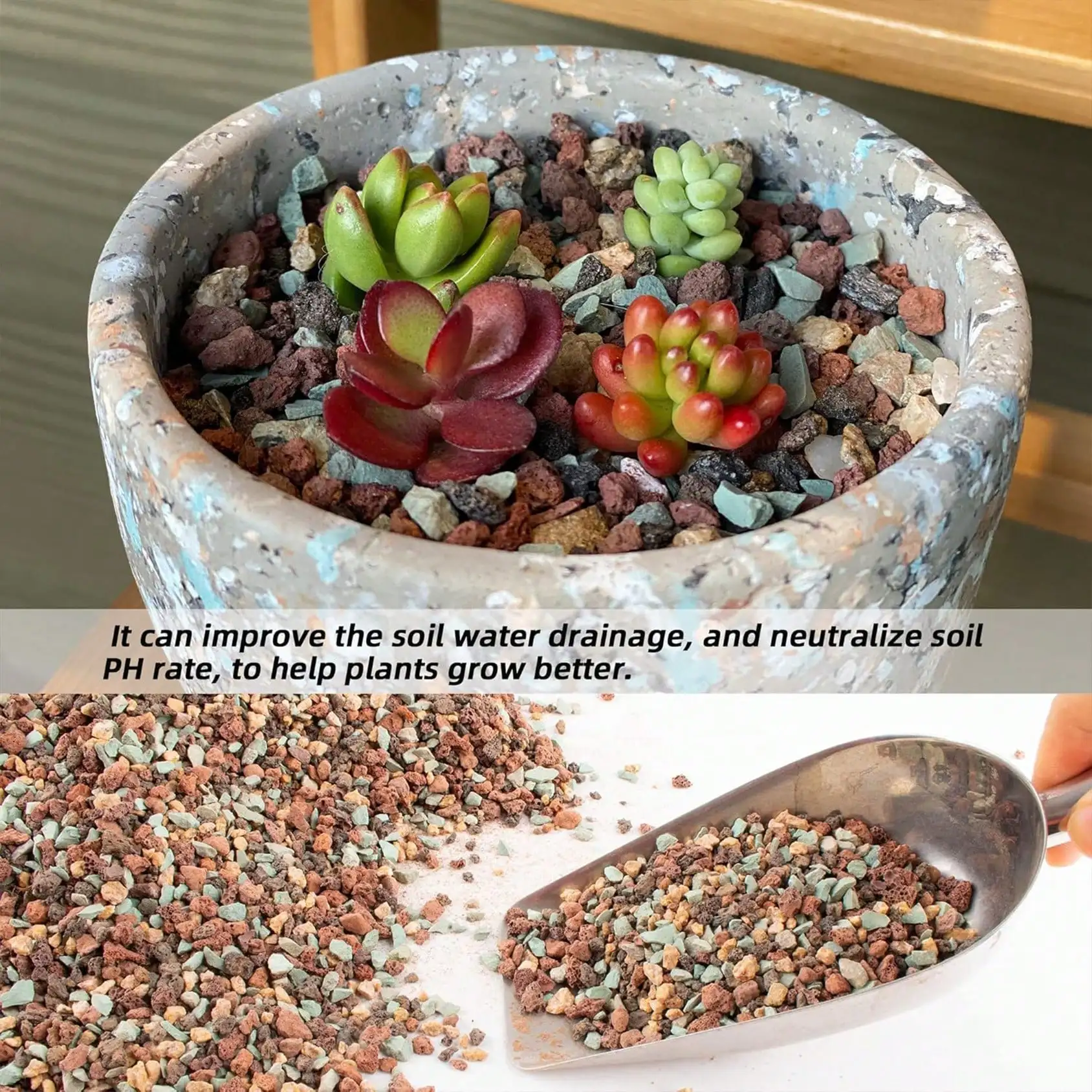 Mescolare la roccia lavica ort - Cactus Mix Pot recensione e prezzo