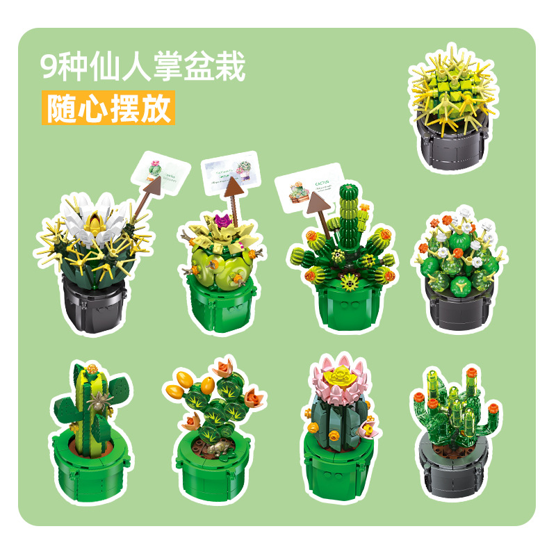 JIE-STAR JJ9175 Cactus Pianta  - Cactus Mix Pot recensione e prezzo