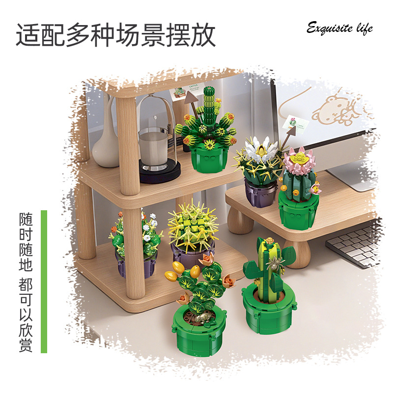 JIE-STAR JJ9175 Cactus Pianta  - Cactus Mix Pot recensione e prezzo